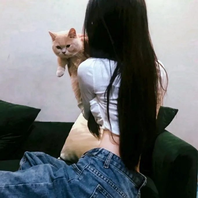 容顺